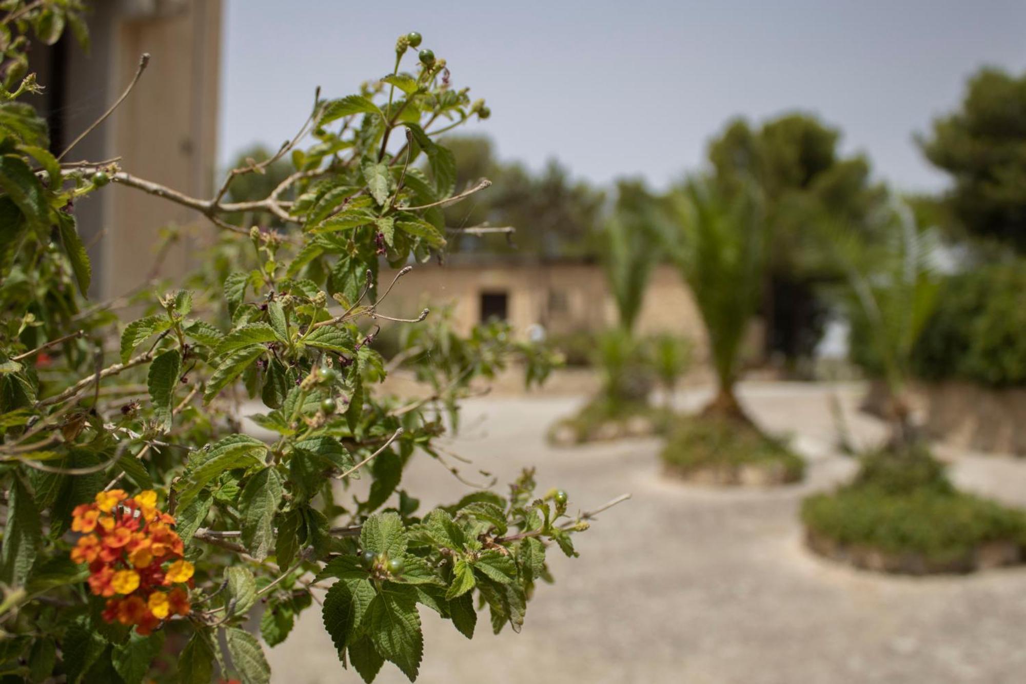 Agriturismo Bellajo - Ville Rustiche Con Piscina Agrigento Zewnętrze zdjęcie